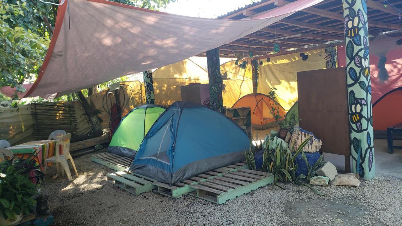 בקאלאר Hostal Y Camping Las G מראה חיצוני תמונה