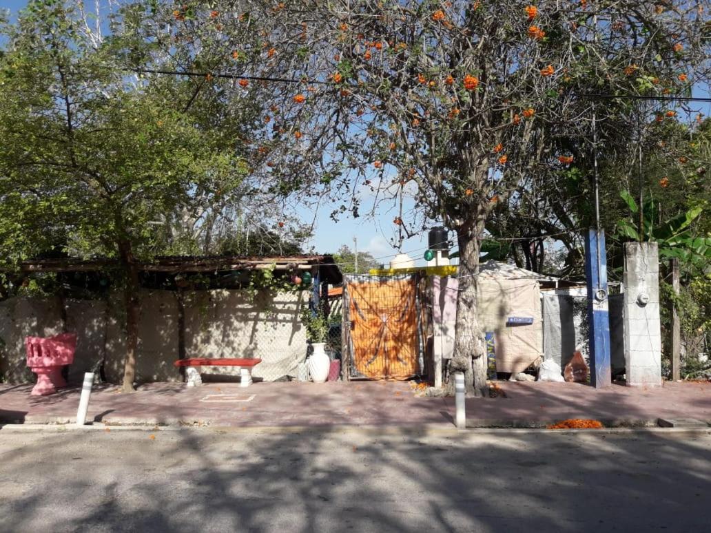 בקאלאר Hostal Y Camping Las G מראה חיצוני תמונה